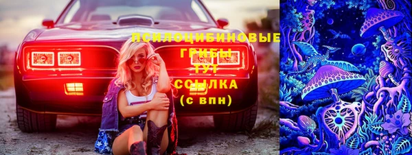 каннабис Аркадак